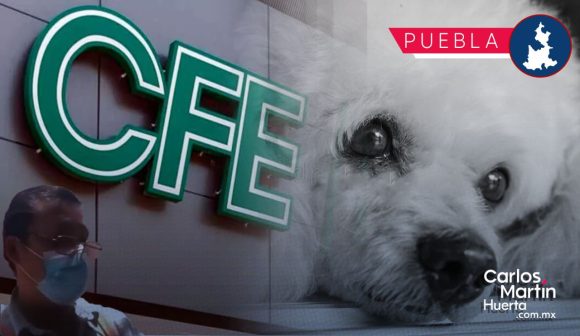 9f73f538-7494-4e87-9eeb-f1c59dbb4053 Vinculado a proceso al trabajador de la CFE por ser presunto responsable de privar de la vida a un canino