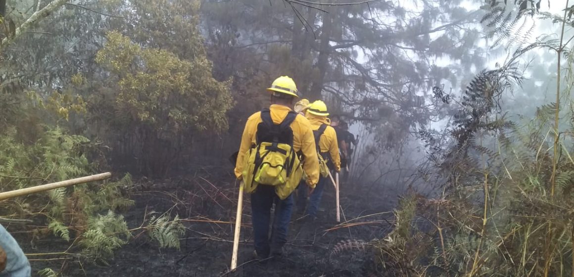 Gobierno de Puebla extingue 17 incendios forestales