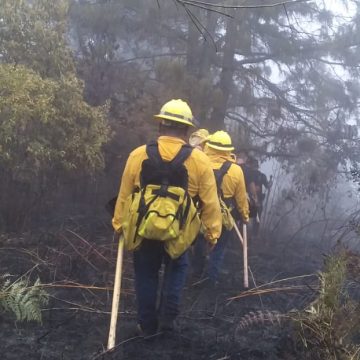 Gobierno de Puebla extingue 17 incendios forestales