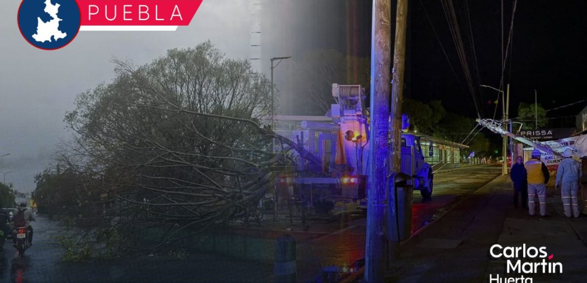 Colapsan árboles y postes en Puebla y Mixteca por ráfagas de viento y lluvia
