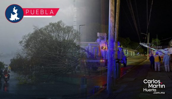 Colapsan árboles y postes en Puebla y Mixteca por ráfagas de viento y lluvia