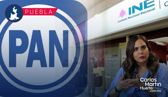 Carolina Beauregard - INE Por proceso irregular, impugnación del PAN en designación de consejeros del INE