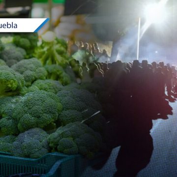 Linchado en Tlahuapan se robó dos brócolis para comer