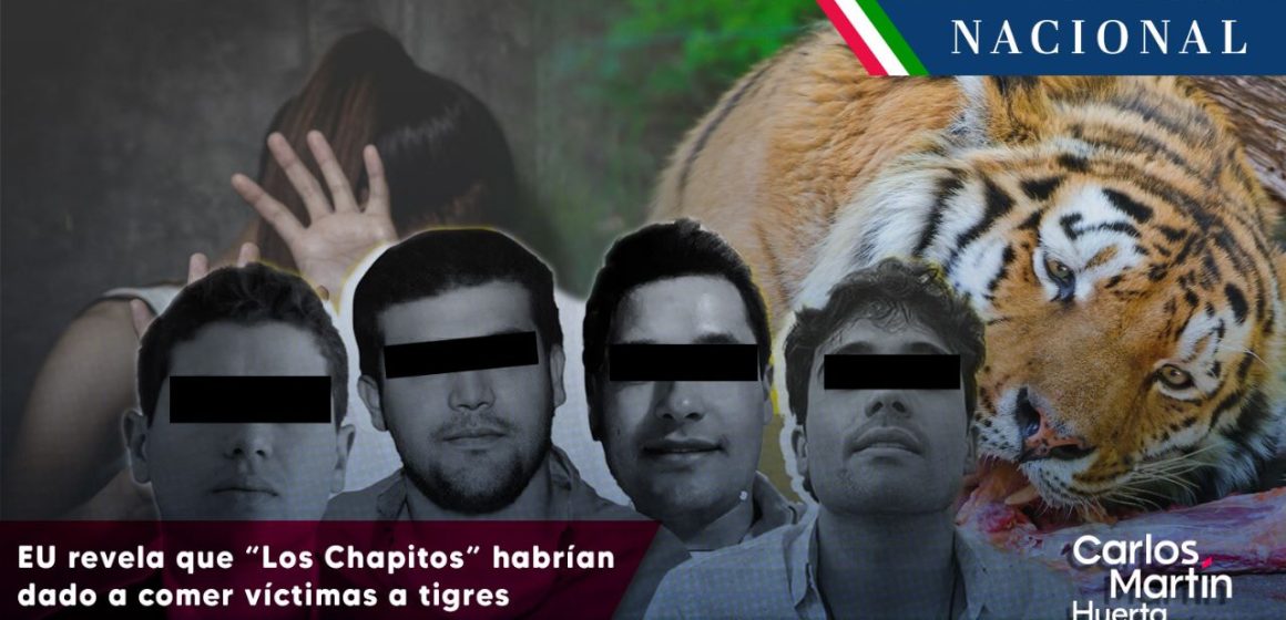 EU revela que “Los Chapitos” habrían dado a comer víctimas a tigres