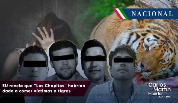 EU revela que “Los Chapitos” habrían dado a comer víctimas a tigres