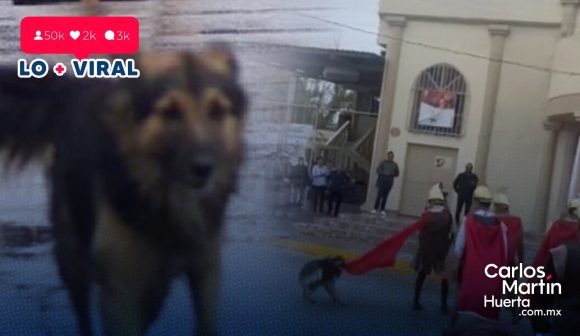 Perro callejero se mete en Viacrucis para defender a Jesús