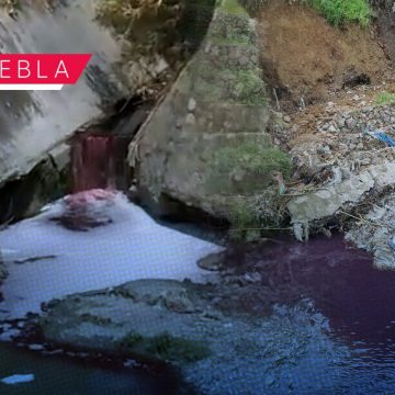Río Alseseca se tiñe de rojo por descargas ilegales; autoridades investigan