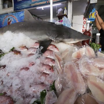 Sector de pescados y mariscos en Puebla alcanzó una venta del 80%
