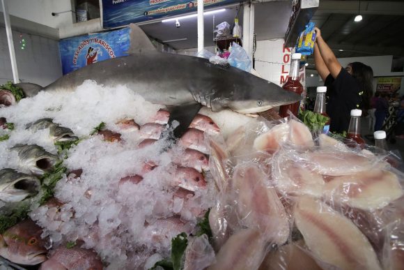 ayuntamiento-feria-de-la-cuaresma-567884 Sector de pescados y mariscos en Puebla alcanzó una venta del 80%