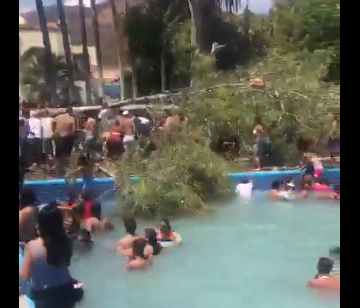 Cae árbol en balneario de Guanajuato; muere un bebé y 10 personas lesionadas