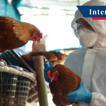 OMS confirma caso humano de gripe aviar en Australia