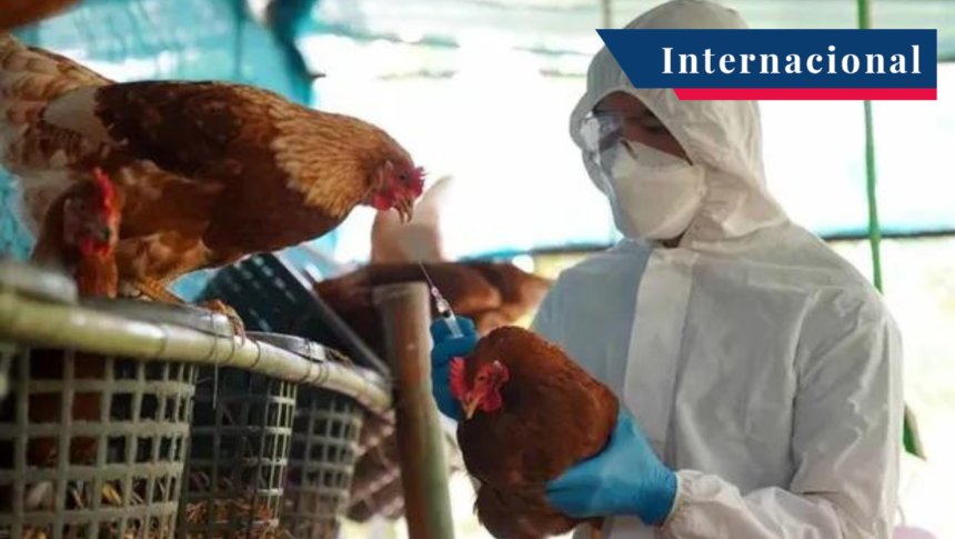 Fallece en EE. UU. el Primer Humano Contagiado por la Gripe Aviar H5N5
