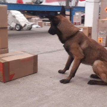 Guardia Nacional asegura paquetes con aparente droga en cubetas con mole