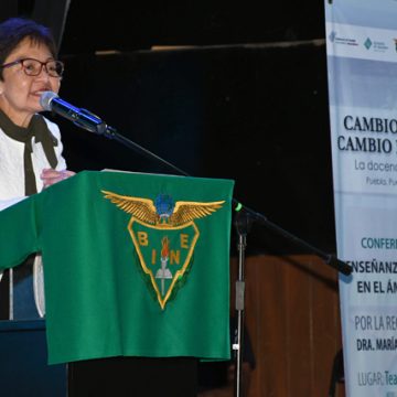 Cada institución debe definir las tareas a emprender para combatir el rezago educativo: Cedillo Ramírez