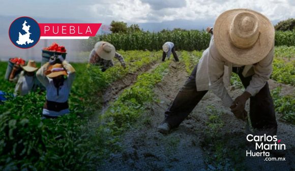 Puebla: 150 millones y 42,000 hectáreas, la inversión que transforma el campo