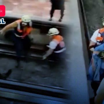 (VIDEO) Gallina interrumpe servicio del Metro de la CDMX