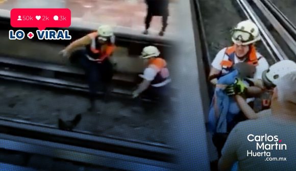 (VIDEO) Gallina interrumpe servicio del Metro de la CDMX