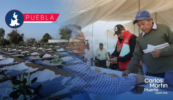 Indemnización - campo - granizada Indemnizan a trabajadores del campo poblano por granizada