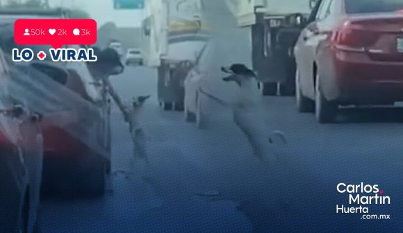 (VIDEO) Familia abandona a perrito en avenida de Nuevo León