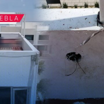 Perro muere ahorcado en casa de Lomas de Angelópolis