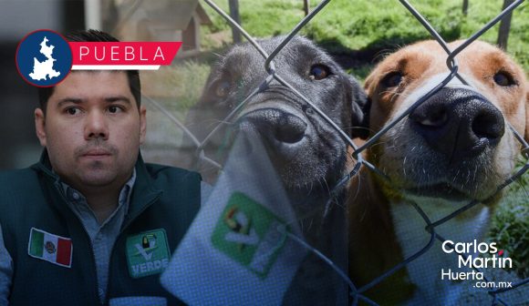 Refugio animales - Partido Verde Partido Verde propone crear refugio para animales por actividad volcánica