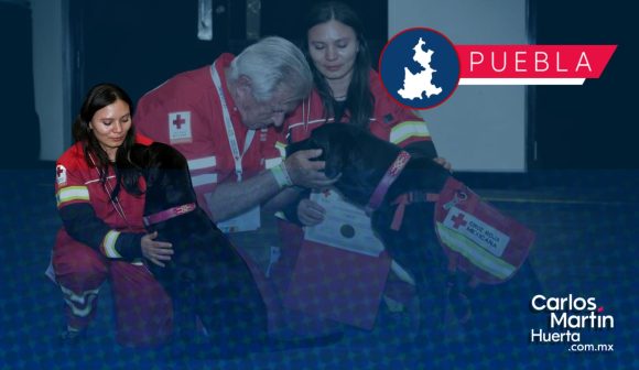 bab6c607-f51a-4813-97b9-e743f0b27366 Retiran al canino “July”; contribuyó a salvar vidas y localizar a víctimas en zonas montañosas y en desastres