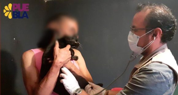 Denuncian posible caso de zoofilia; rescatan a cinco gatitos