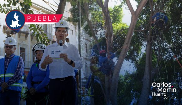 Intervienen árboles del Centro Histórico de Puebla
