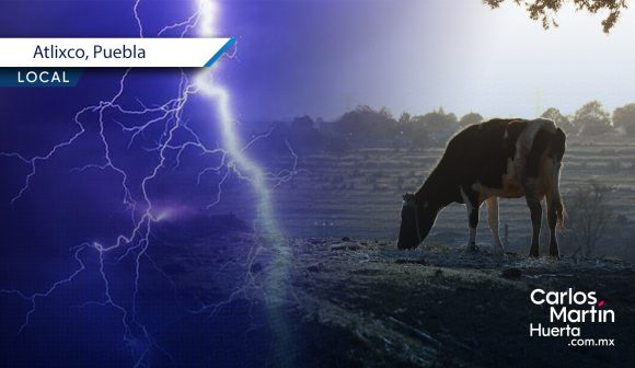 Caída de rayo - Atlixco - vacas Caída de rayo mata a vacas y deja mal herido a pastor en Atlixco