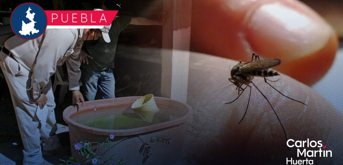 Registra Puebla 450 casos activos de dengue