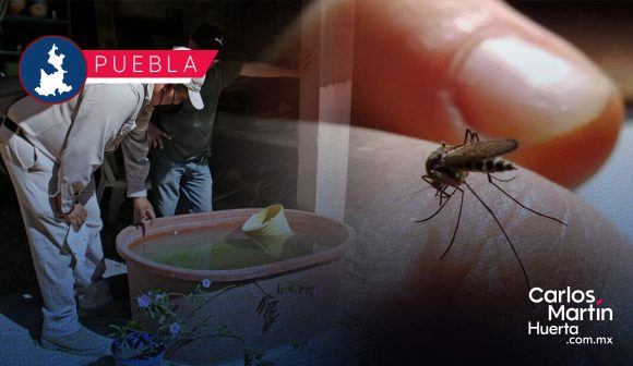 Dengue - Puebla Puebla ocupa el quinto lugar nacional por casos de dengue: Salud
