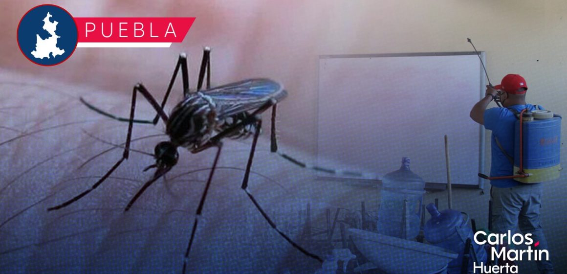 Casos de dengue en el estado, en aumento: Salud