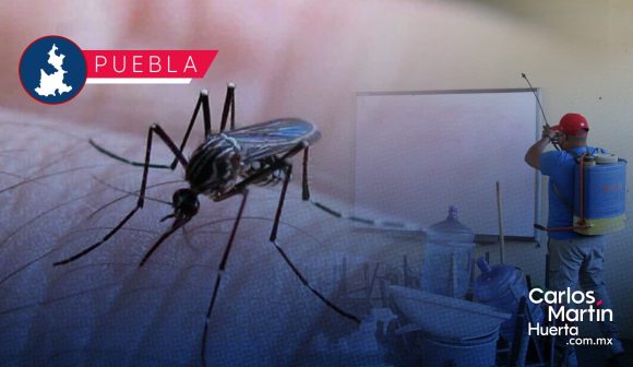 Salud llama a la descacharrización para evitar propagación del dengue
