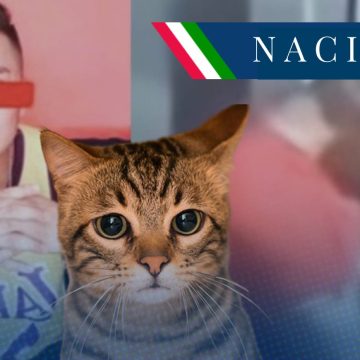 Identifican a hombre que estranguló a gatito en Tlalnepantla