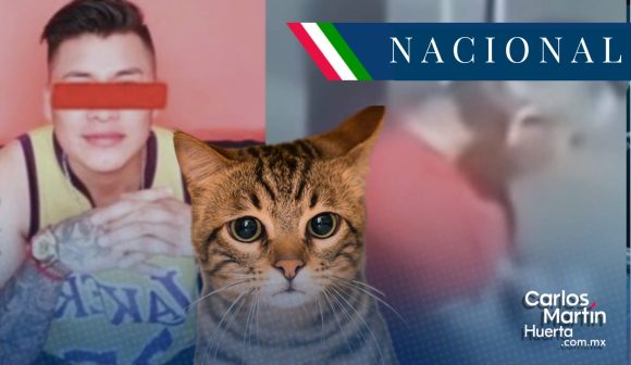 Identifican a hombre que estranguló a gatito en Tlalnepantla