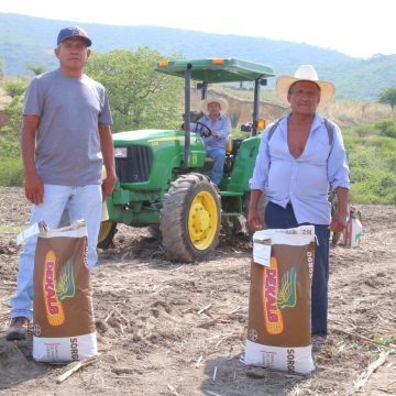 Para fortalecer a la Mixteca, gobierno de Puebla detonará producción de agave mezcalero