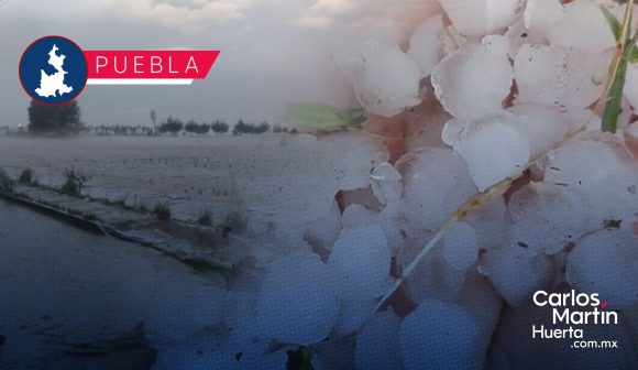 Granizadas en Puebla dejan afectaciones en 595 hectáreas de tres municipios