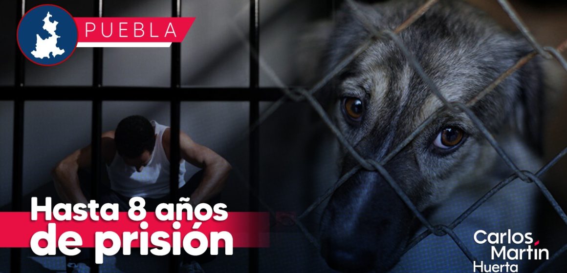 Hasta 8 años de prisión por maltrato animal en Puebla