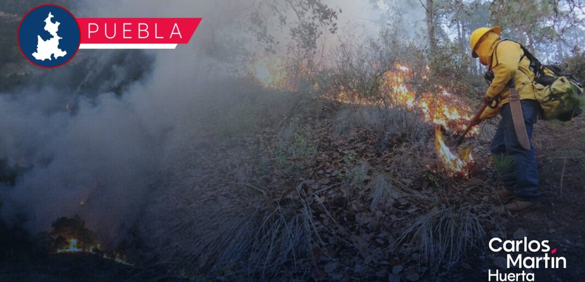 Incendio forestal de Libres controlado en un 95%: Segob