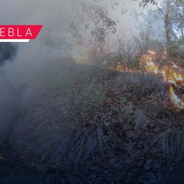 Abril y mayo serán los meses más críticos en tema de incendios forestales