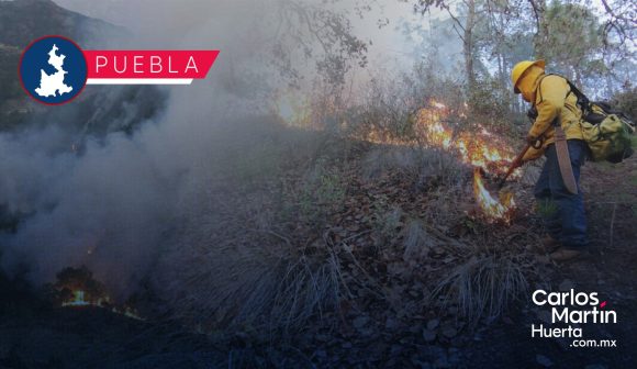 Sofocan siete incendios forestales en diferentes municipios del estado de Puebla