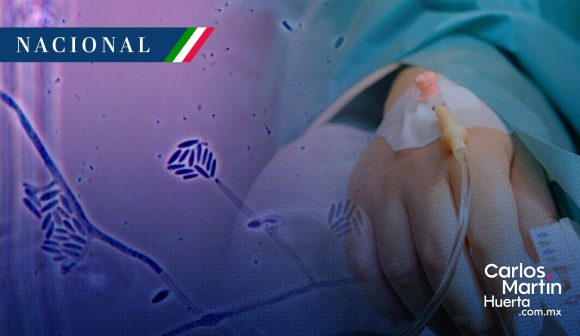 México cuenta con una muerte y 24 casos de infección por hongo Fusarium