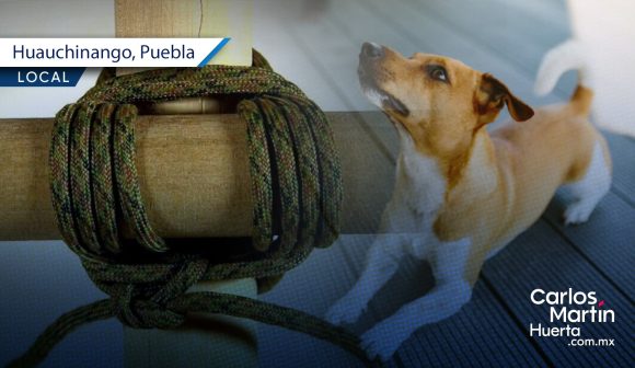 Adolescente adopta perro para matarlo en Huauchinango