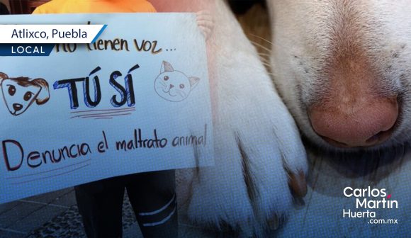 Denuncian a menor de 12 años por zoofilia en Atlixco