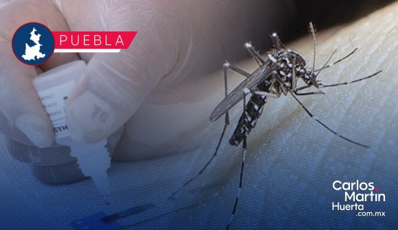 Salud iniciará modelo experimental para disminución del dengue
