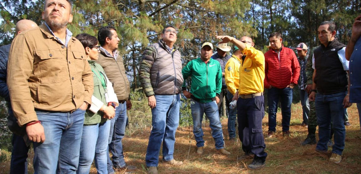 Refuerzan labores para extinguir incendio forestal en Zacatlán