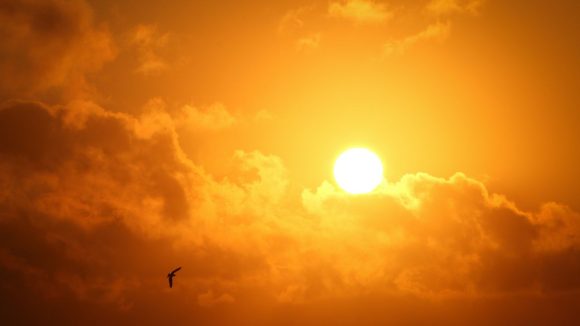¿A qué hora inicia el verano en México?; Hoy es el día más largo del año