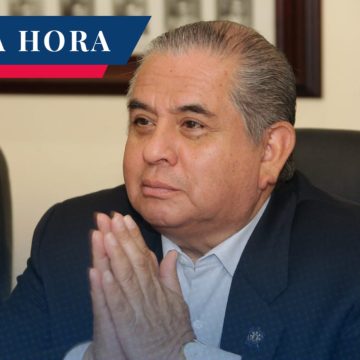 Ardelio Vargas renuncia a la subsecretaria de Desarrollo Político