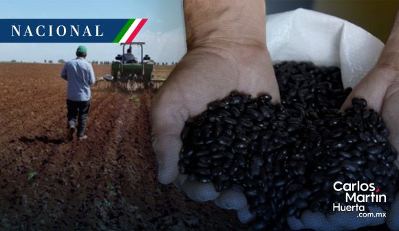 Alertan de posible desabasto de frijol en todo México por falta de lluvias