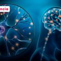 ¿Sabías que tu cerebro usa una quinta parte de tu energía?